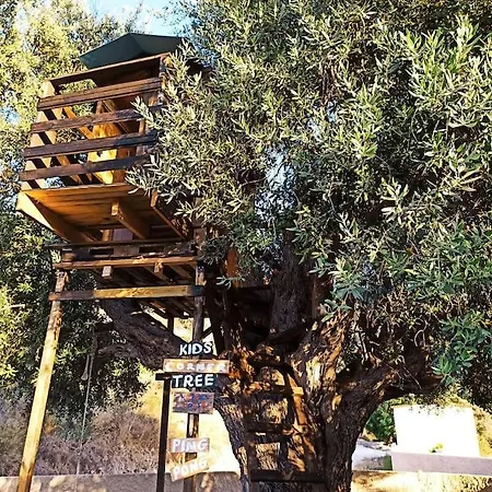 Glamping In The Middle Of Nowhere *